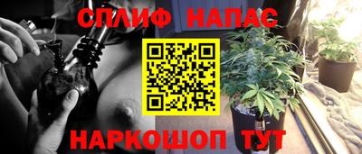 сатива Гусь-Хрустальный