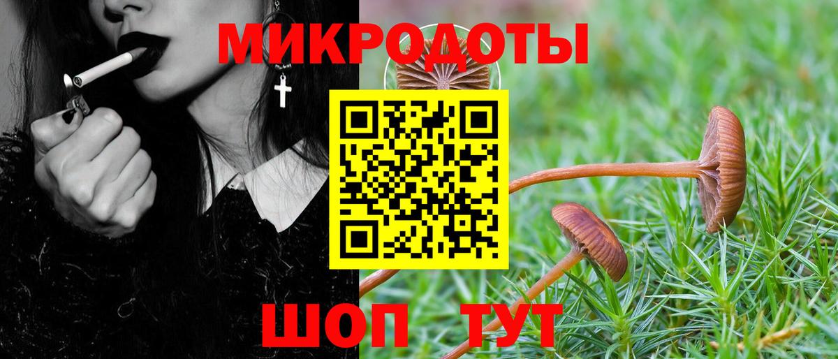 Галлюциногенные грибы Psilocybine cubensis Лыткарино