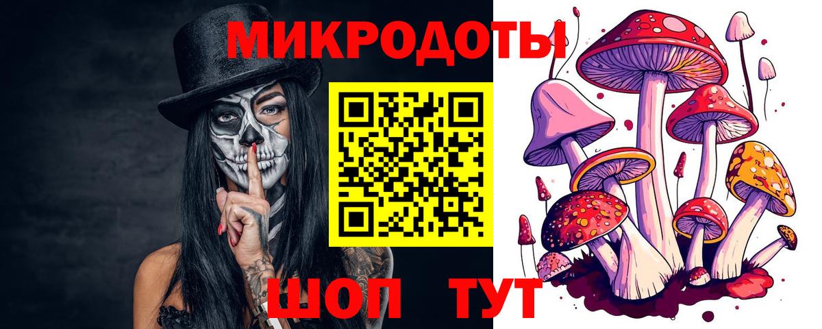 Лыткарино  Галлюциногенные грибы прущие грибы  Вход с VPN 
